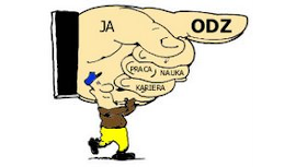 odz 270 153